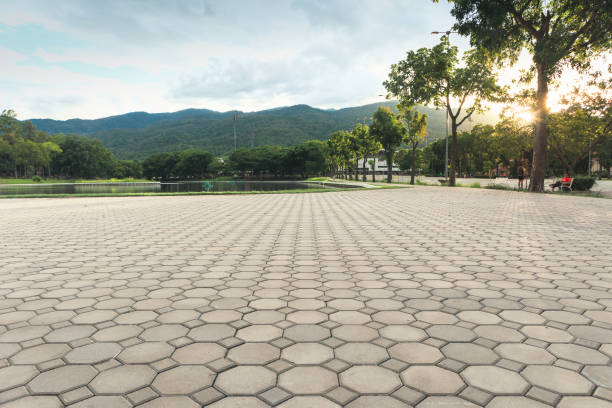 Professional Driveway Pavers in Hokendauqua, PA